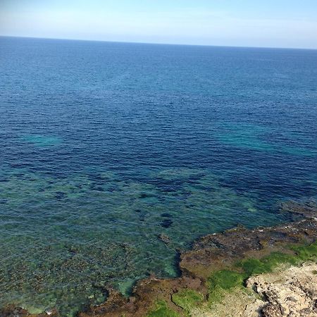 Apartamento Maestro Parada Torrevieja Szoba fotó